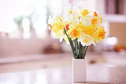 ¼˸жһ