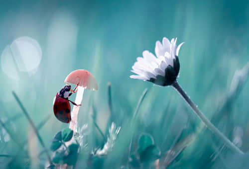 Ů˵˵
