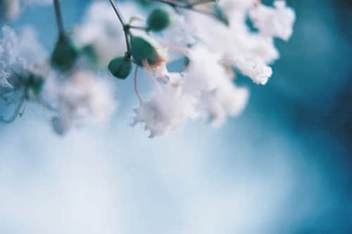 ˵˵ȫԼ