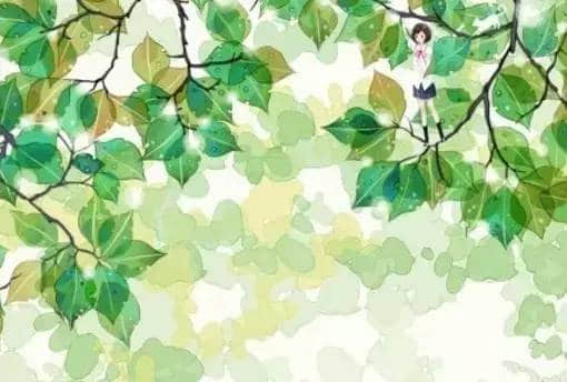 ഺ˵ľ