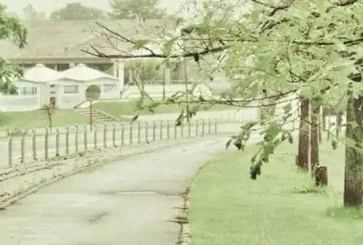 ഺĺþ