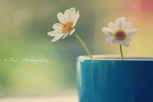 Ů˵Ҹľ
