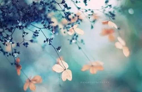 йҸΨİ