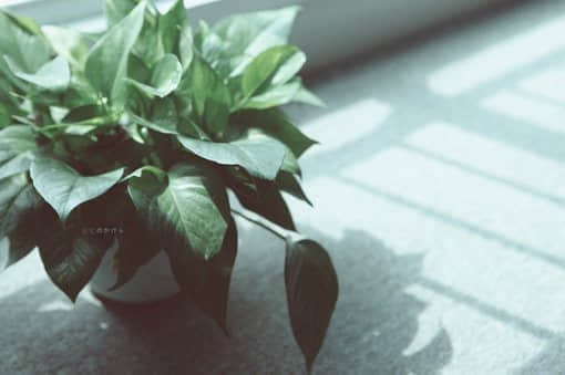 2017°˵˵