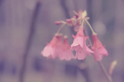 ε˵˵