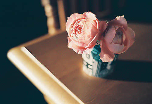 еվ˵˵