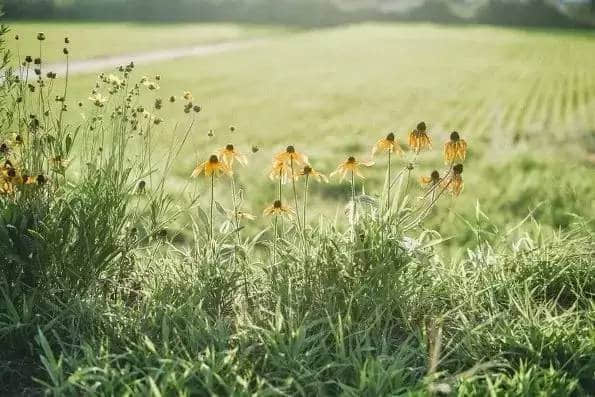 ˵˵˸гһ