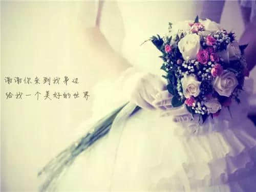 QQ˵˵