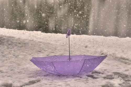ľ˸ Ļ䣬΢Ц
