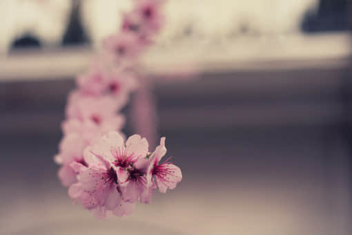 Ȧ˸еֶ
