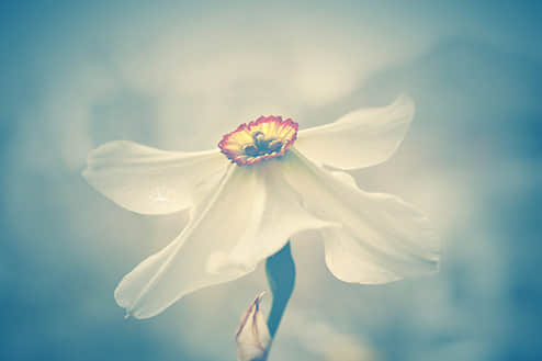 ķľ˵˵