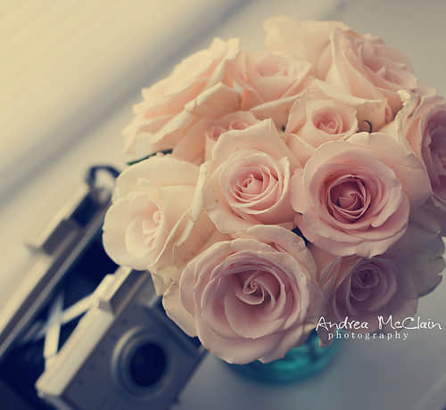 QQ˵˵ĵһ仰
