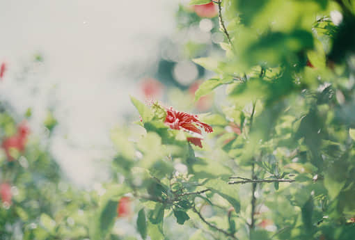 Ϣ˵˵