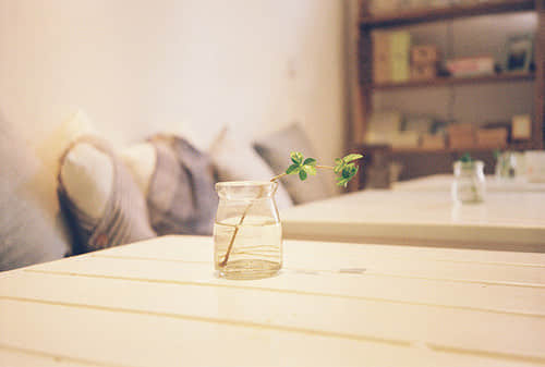 QQ˵˵䰮¼