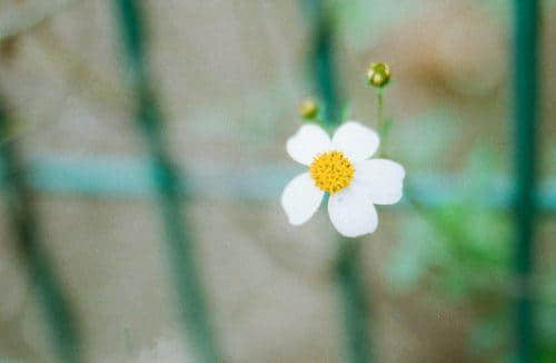 QQ˵˵