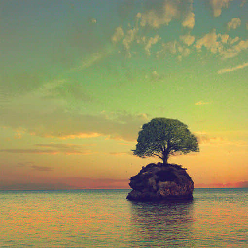һ˹µ˸еľ
