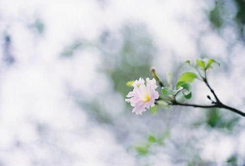 ˵Ŀ