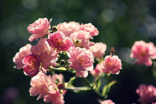 ΢ž䰮¼2