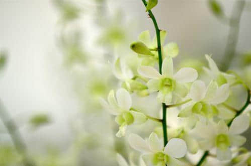 Ů˵˵ ƢãҲȥƽ