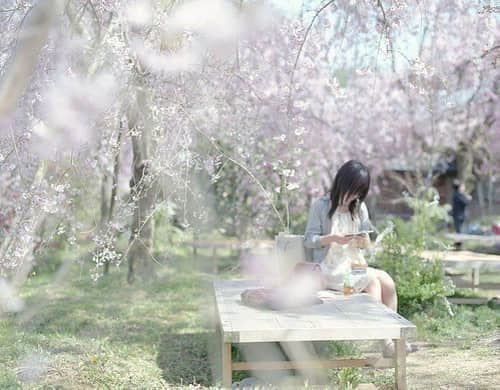 йڰ˸еС¾