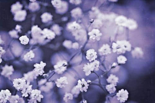 һ˵ľ