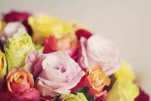 ˵ĳɱ