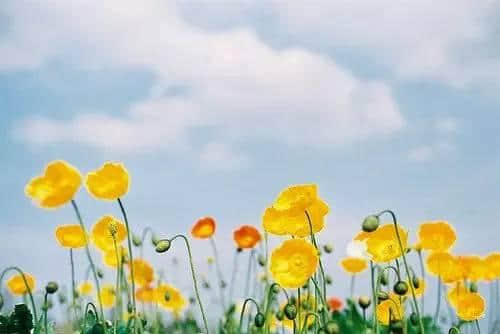 70ķ糾£ǰ