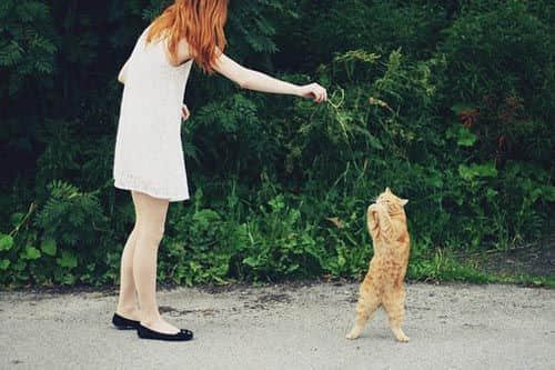 Ů˵˵