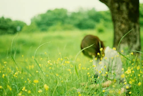 ഺ˸еŮ