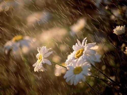 ۵İ˵˵