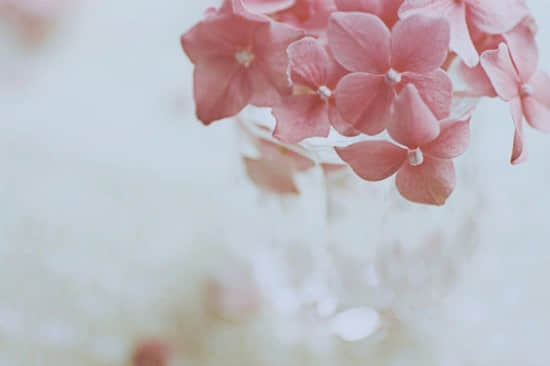 ˵˵