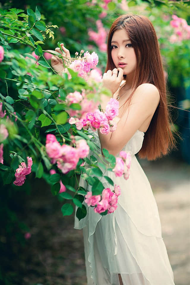 ΢ĸ˵˵