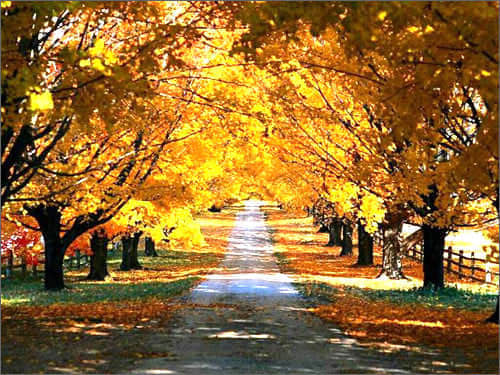 ڰ˸еһλ