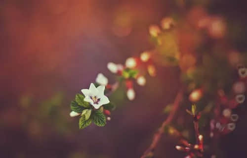 һ˸зƵľ˵˵