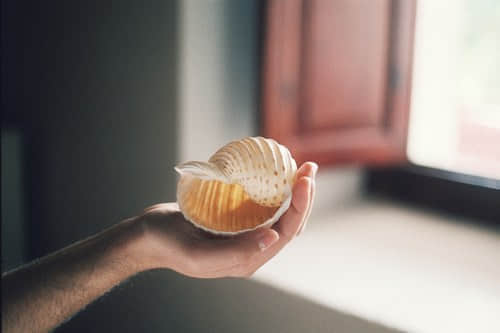 ķ˵˵