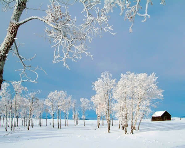 30˸Ψİվ