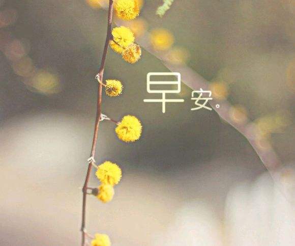 2017˸аΨӶ̾