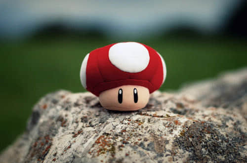 ĺ˵˵