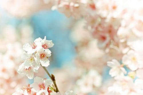 Ļ 