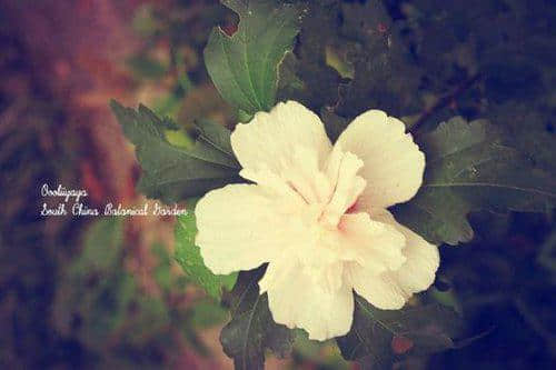 һ仰˸е