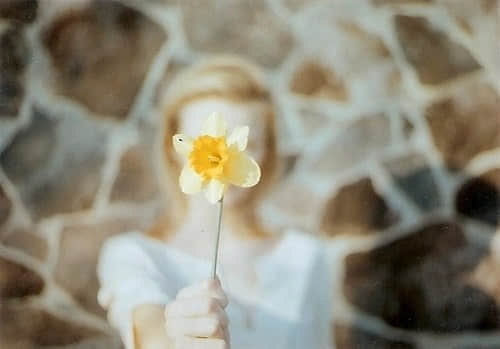 ۵˸黰̾