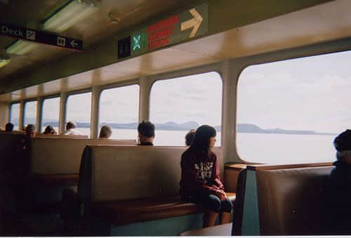 ֻһƯֽ