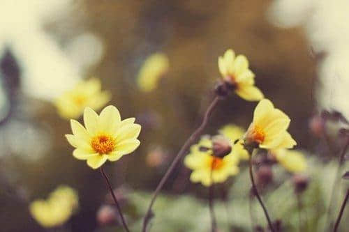 Լ˵˵