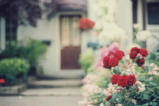 ﱯ˵İ˵˵