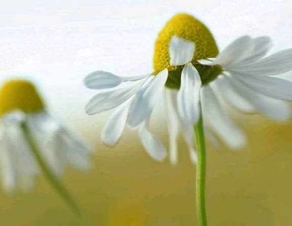 Ů¼˵˵