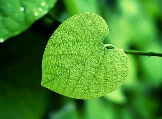 ˸΢˵˵