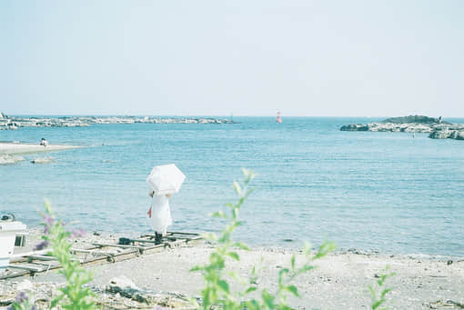 鲻õ˸пռԾ