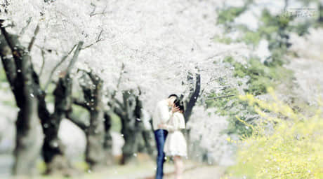 29˸лɵľ˵˵