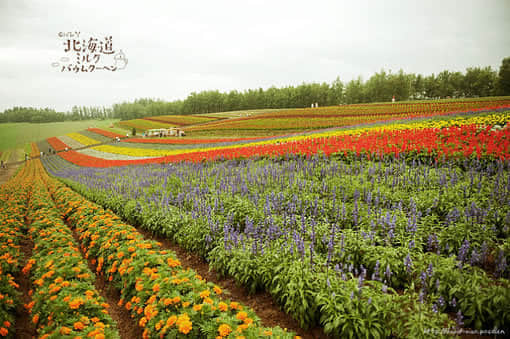 鲻ôͼƬ˵˵7