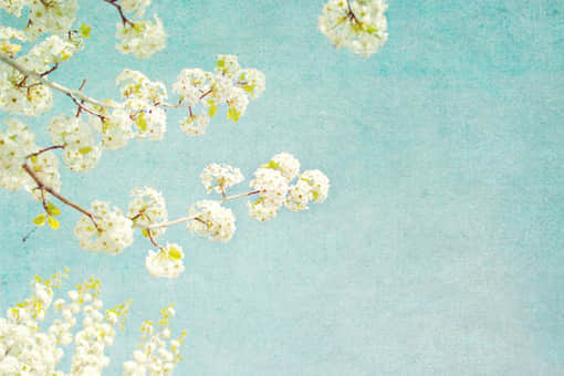 鲻ôͼƬ˵˵12